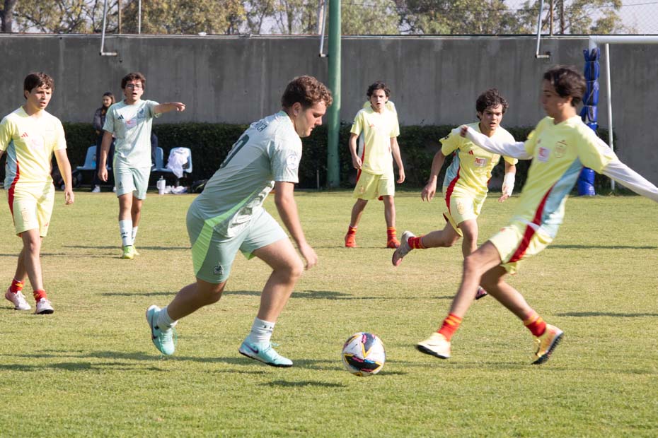 Ir a la Siguiente Foto