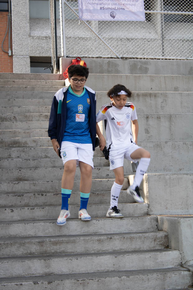 Ir a la Siguiente Foto