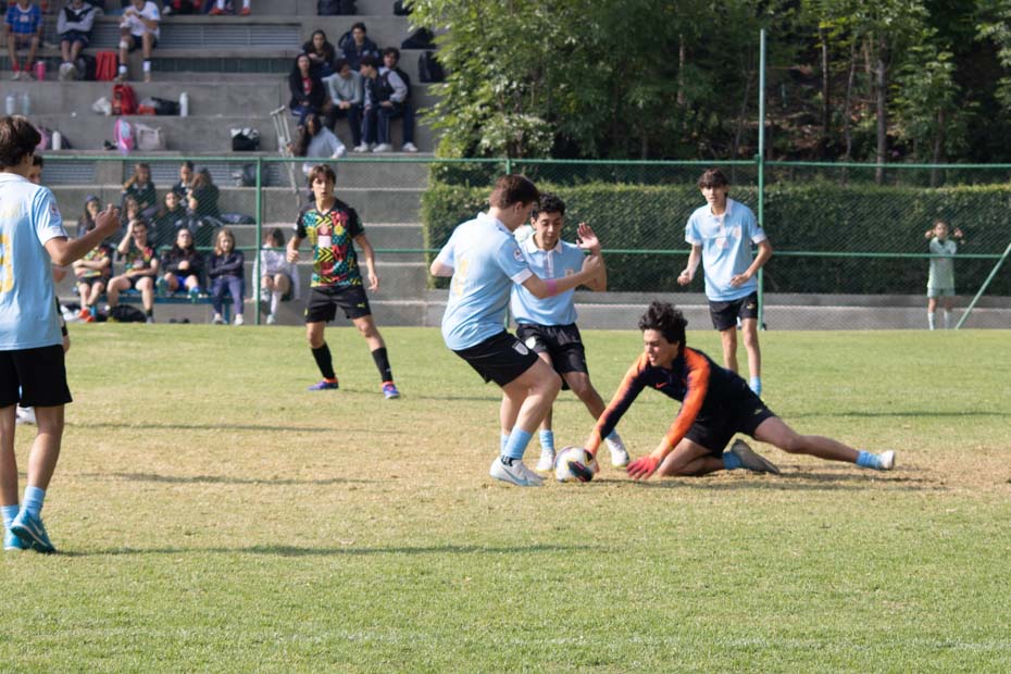 Ir a la Siguiente Foto