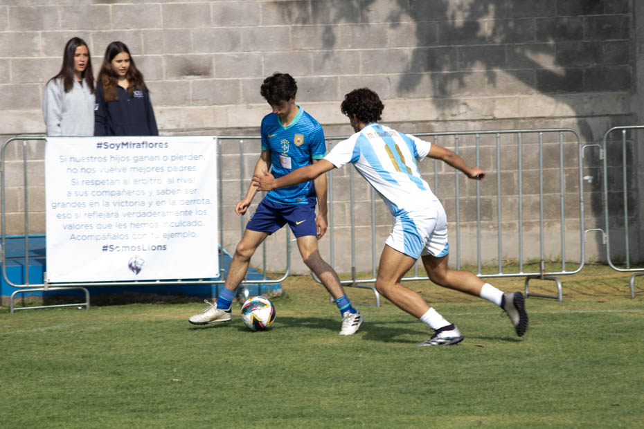 Ir a la Siguiente Foto