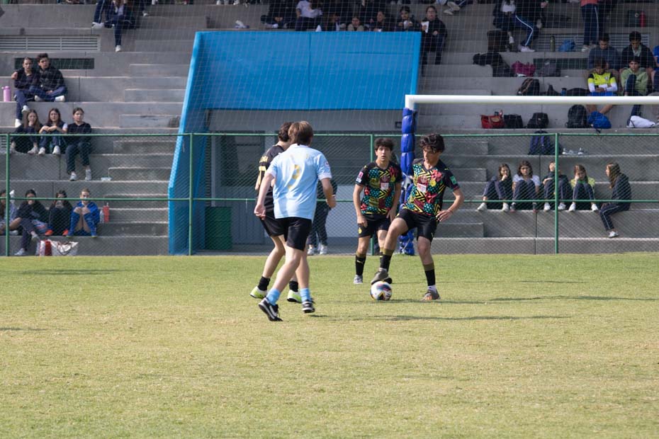 Ir a la Siguiente Foto