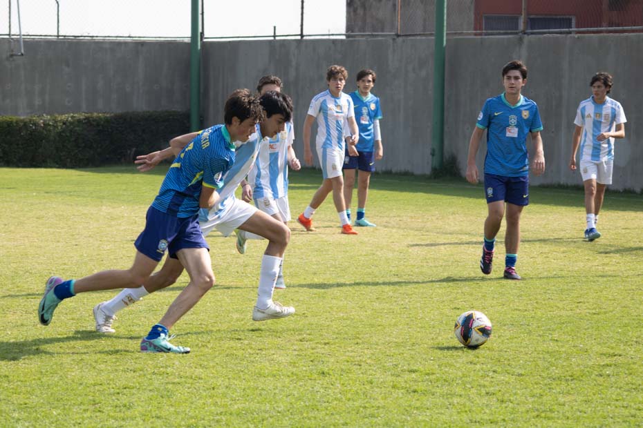 Ir a la Siguiente Foto