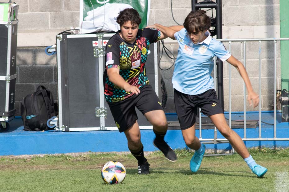 Ir a la Siguiente Foto