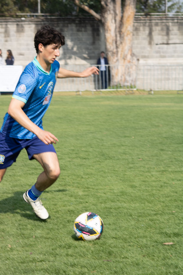 Ir a la Siguiente Foto