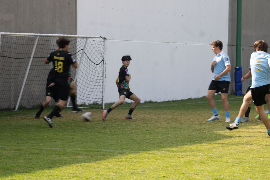 Ir a la Siguiente Foto