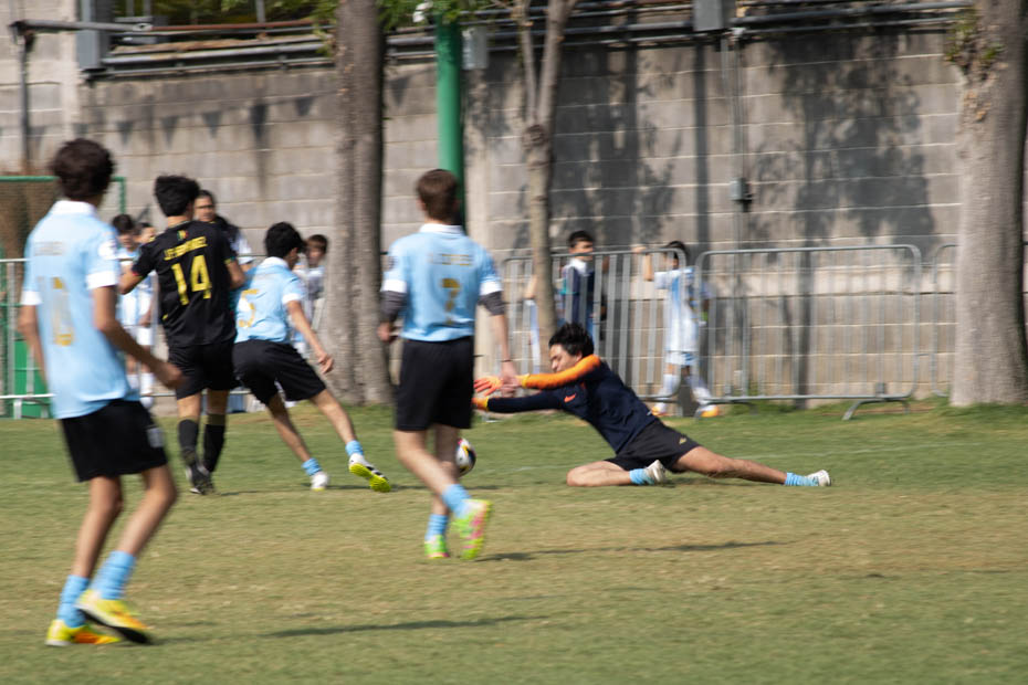 Ir a la Siguiente Foto