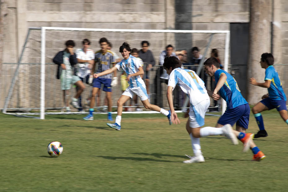 Ir a la Siguiente Foto