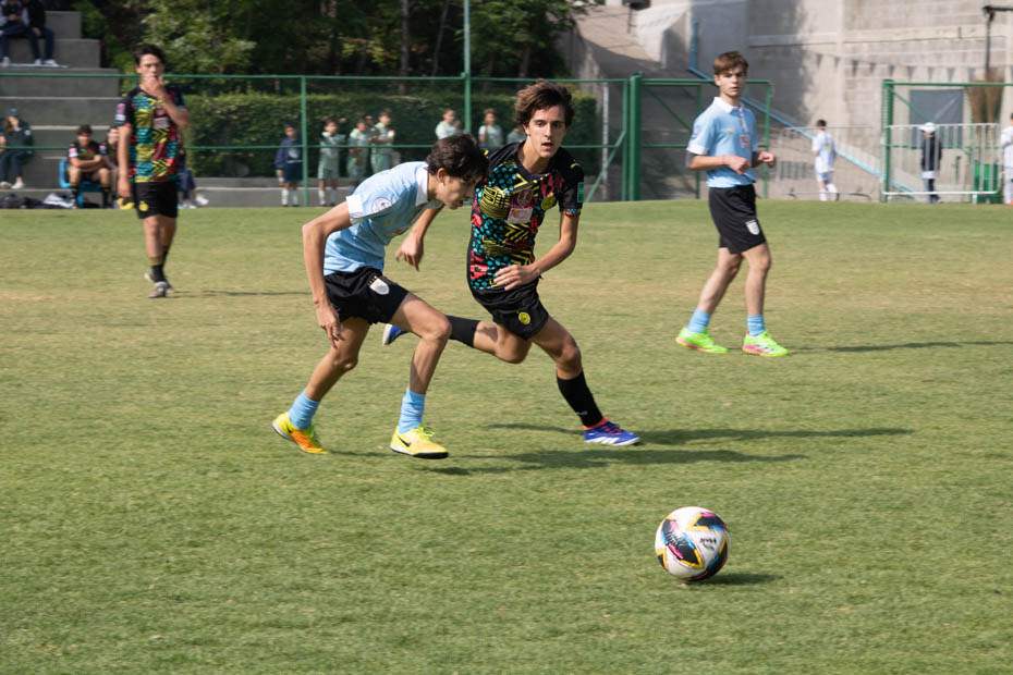 Ir a la Siguiente Foto