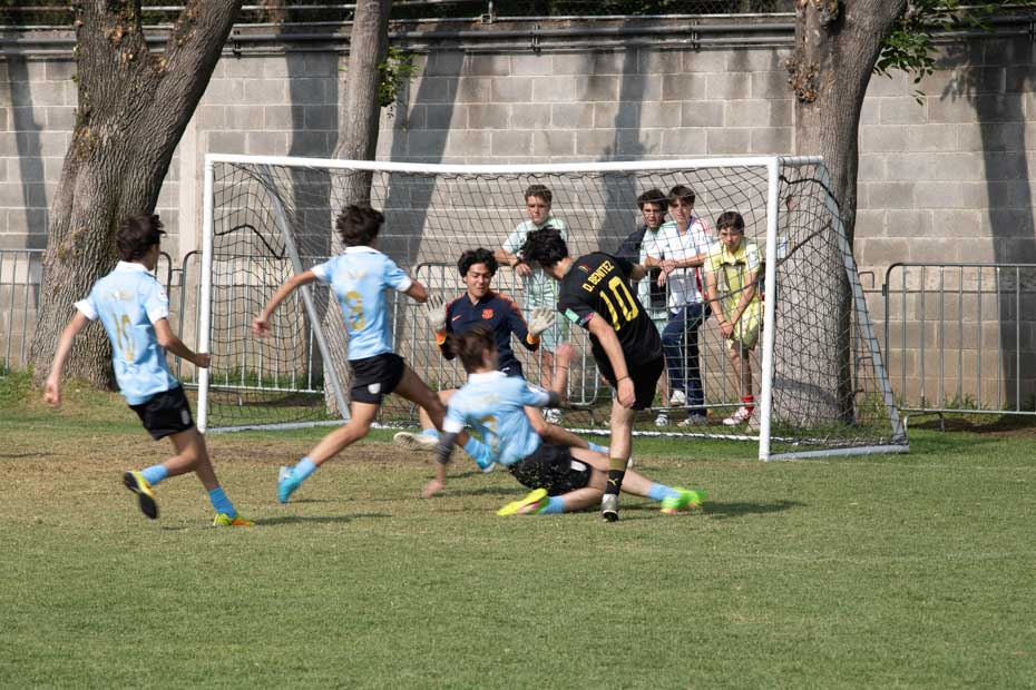 Ir a la Siguiente Foto
