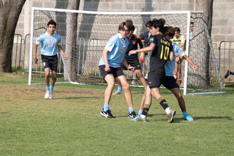 Ir a la Siguiente Foto