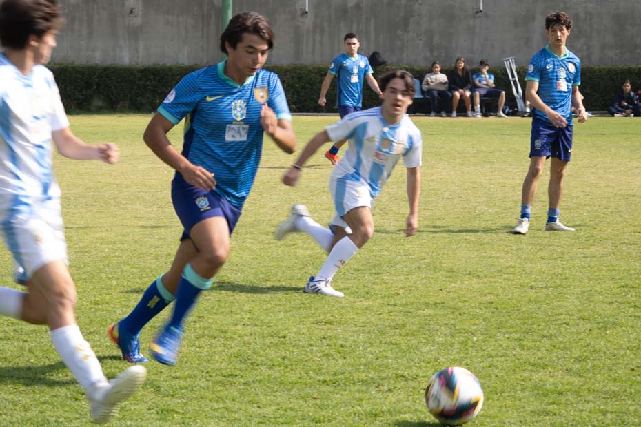 Ir a la Siguiente Foto