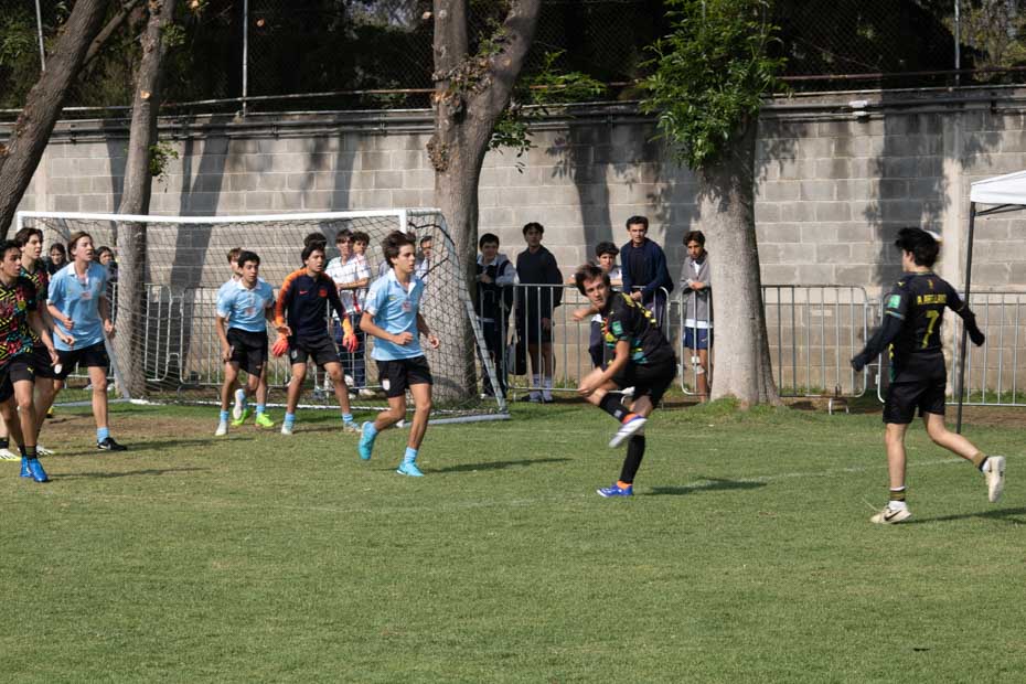 Ir a la Siguiente Foto