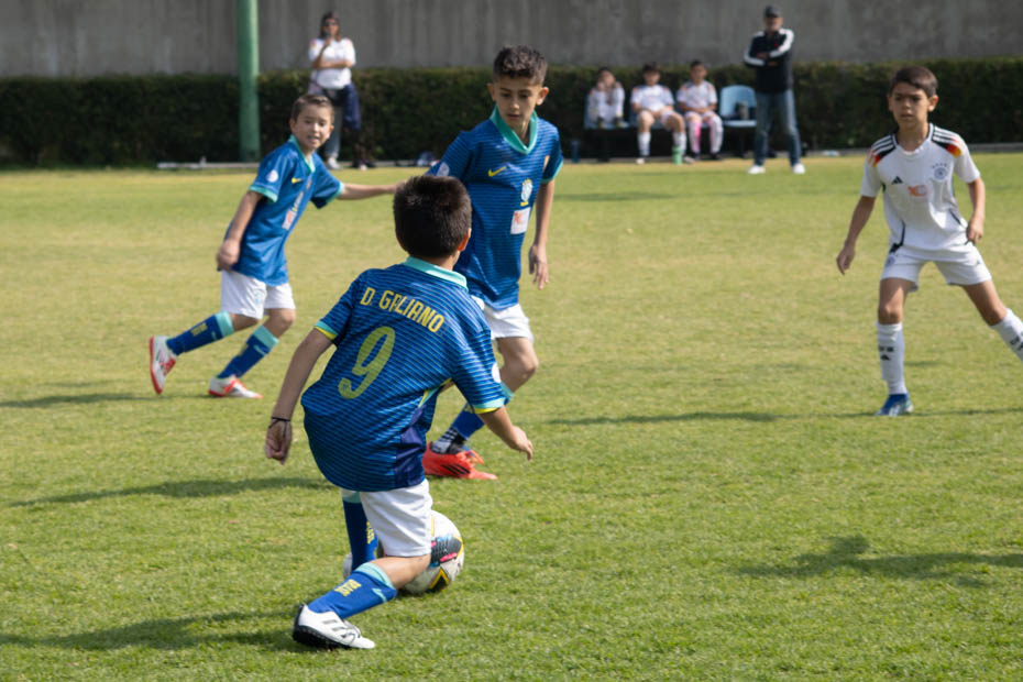 Ir a la Siguiente Foto