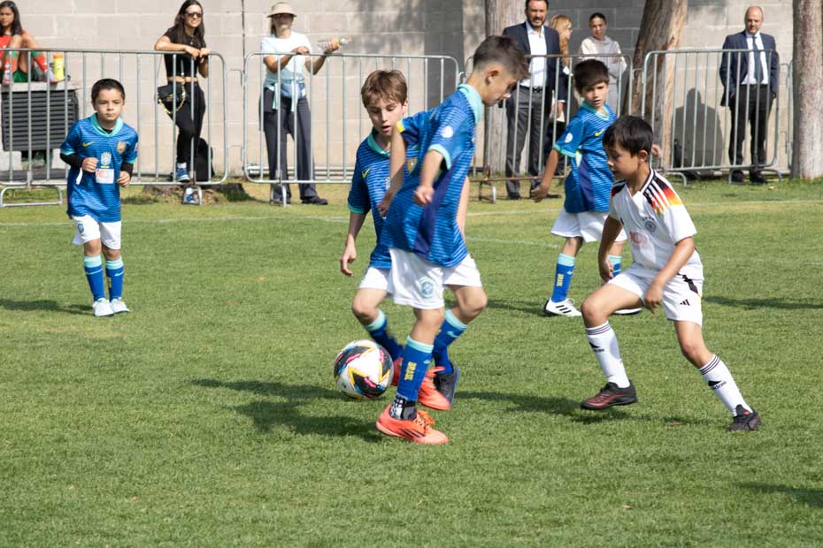 Ir a la Siguiente Foto