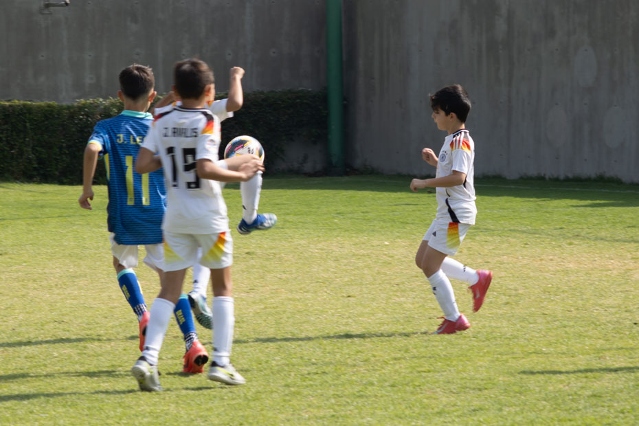 Ir a la Siguiente Foto