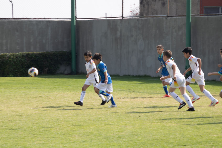 Ir a la Siguiente Foto