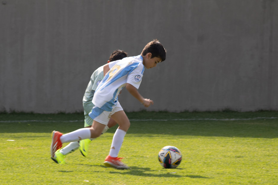 Ir a la Siguiente Foto