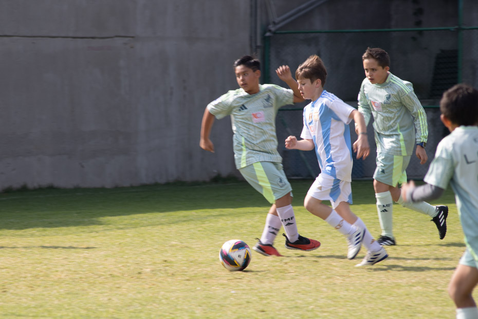 Ir a la Siguiente Foto