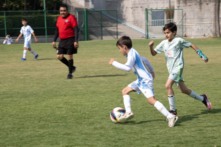 Ir a la Siguiente Foto