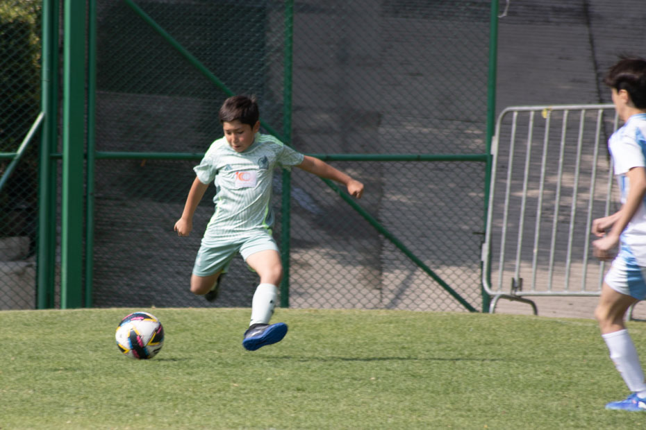 Ir a la Siguiente Foto