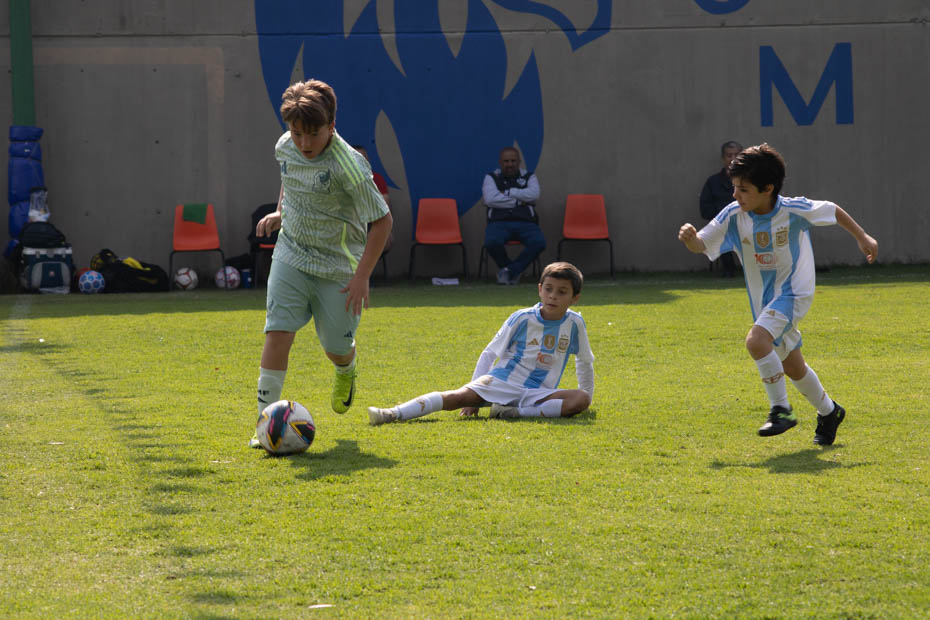 Ir a la Siguiente Foto