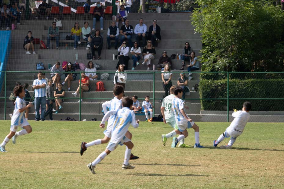 Ir a la Siguiente Foto