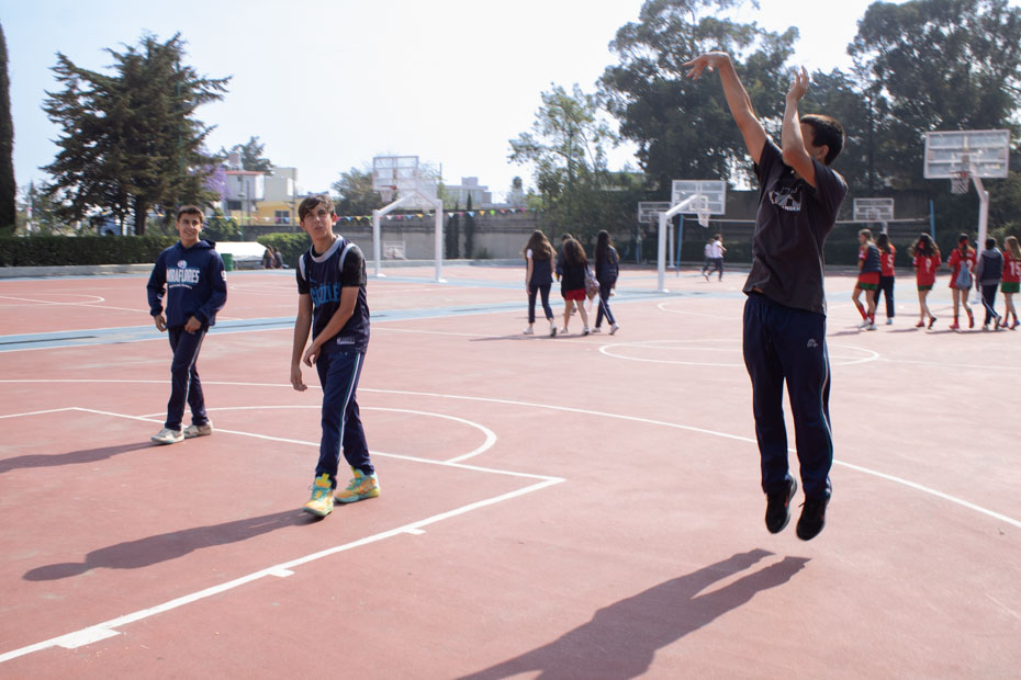 Ir a la Siguiente Foto