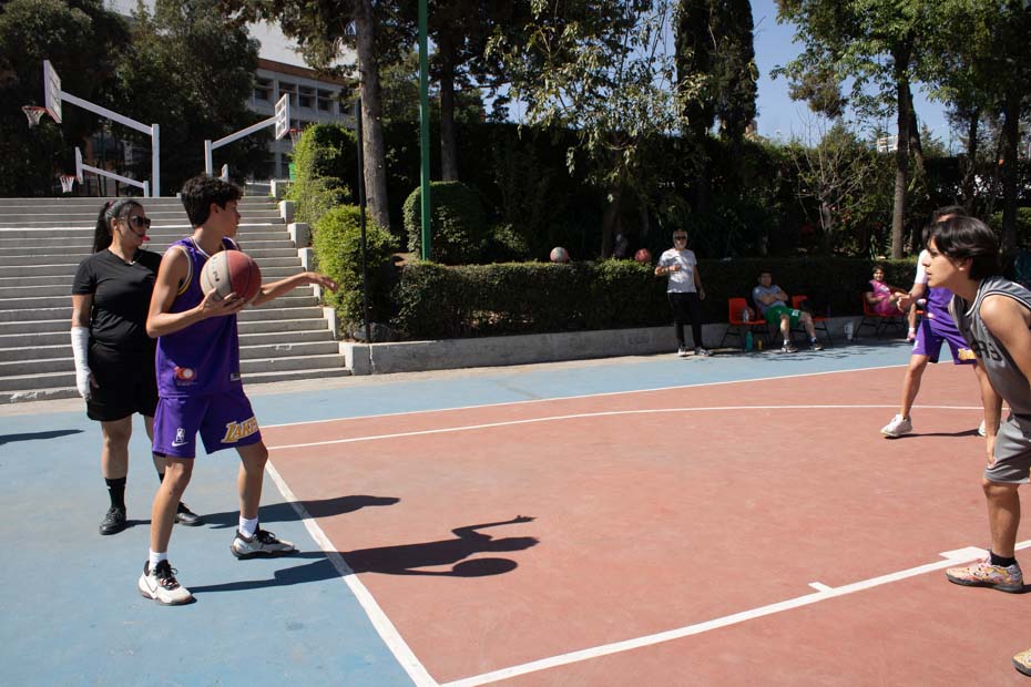 Ir a la Siguiente Foto