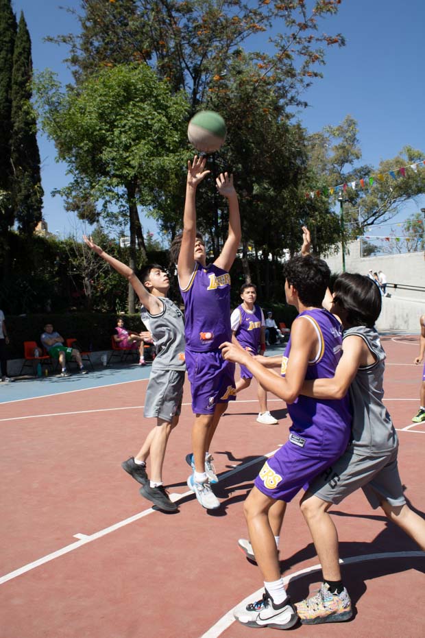 Ir a la Siguiente Foto