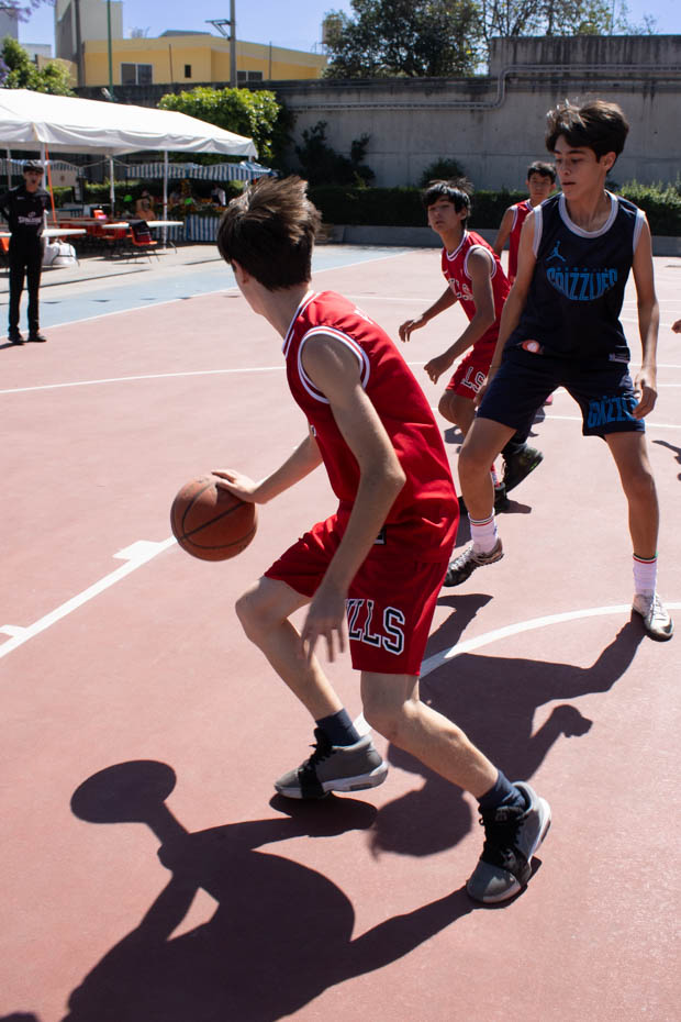 Ir a la Siguiente Foto