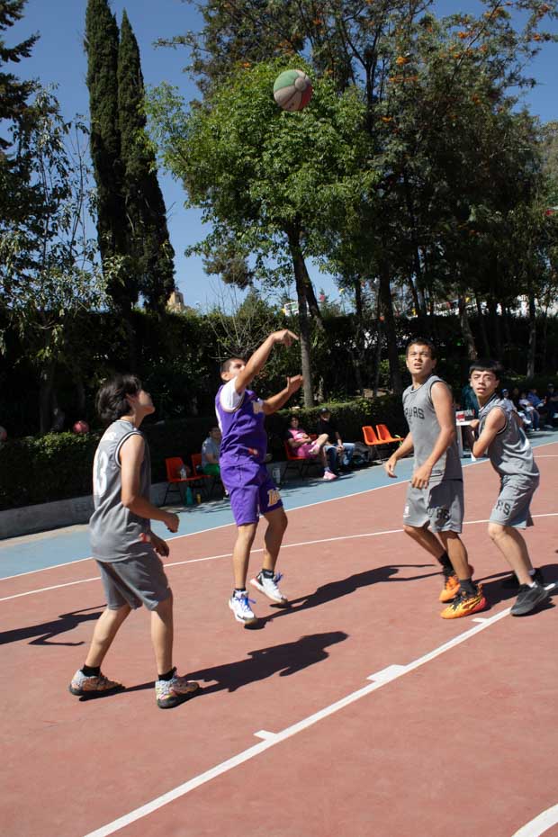 Ir a la Siguiente Foto