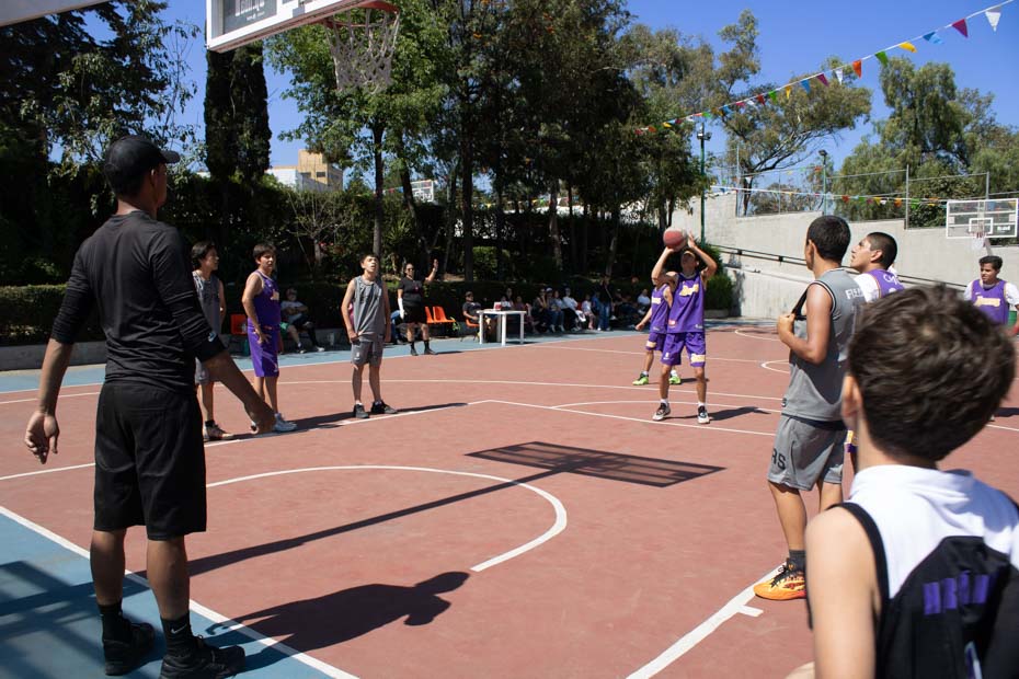 Ir a la Siguiente Foto