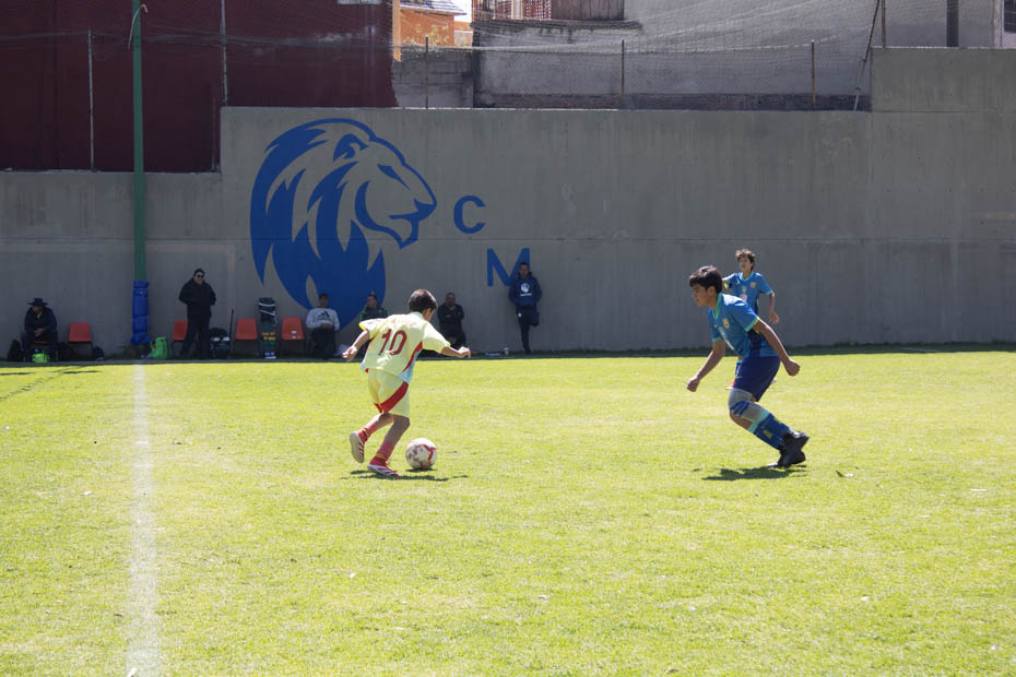 Ir a la Siguiente Foto