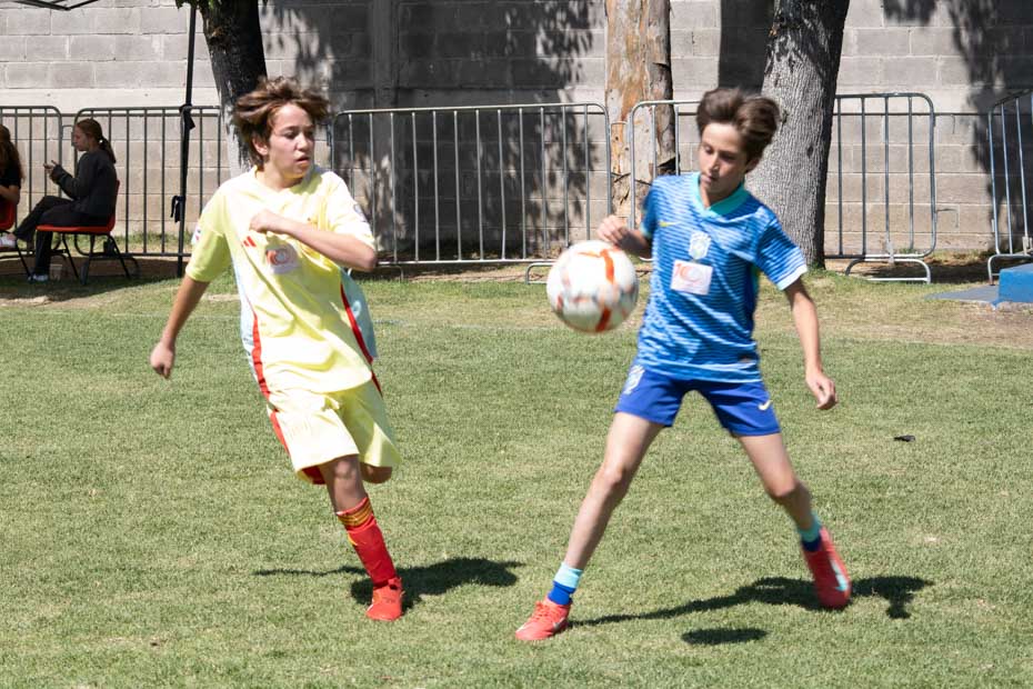 Ir a la Siguiente Foto