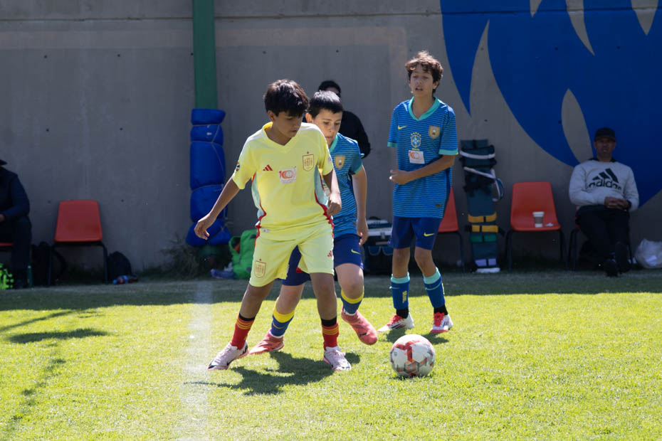 Ir a la Siguiente Foto