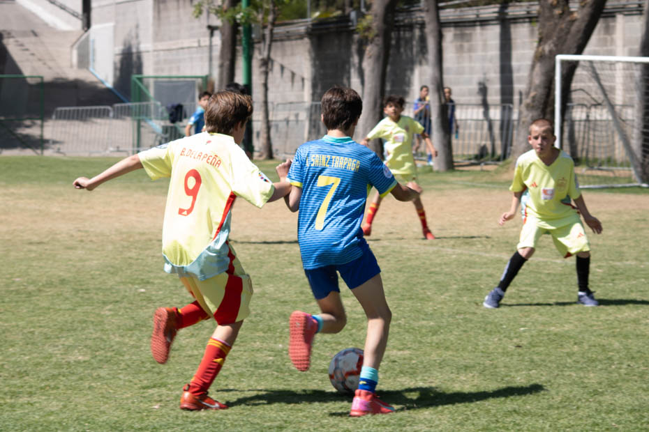 Ir a la Siguiente Foto