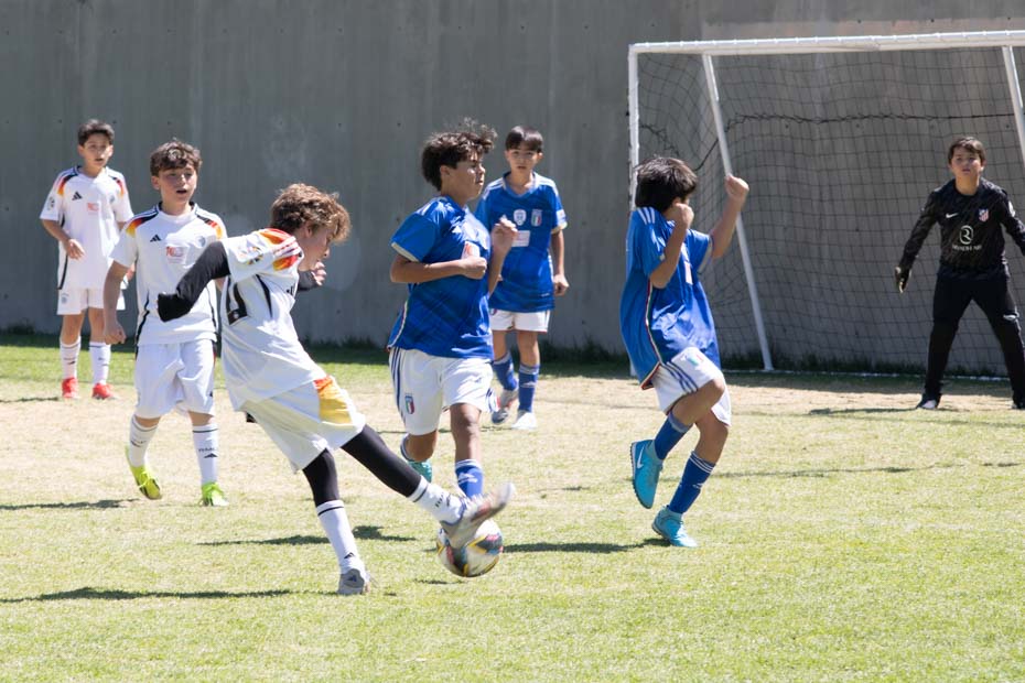 Ir a la Siguiente Foto