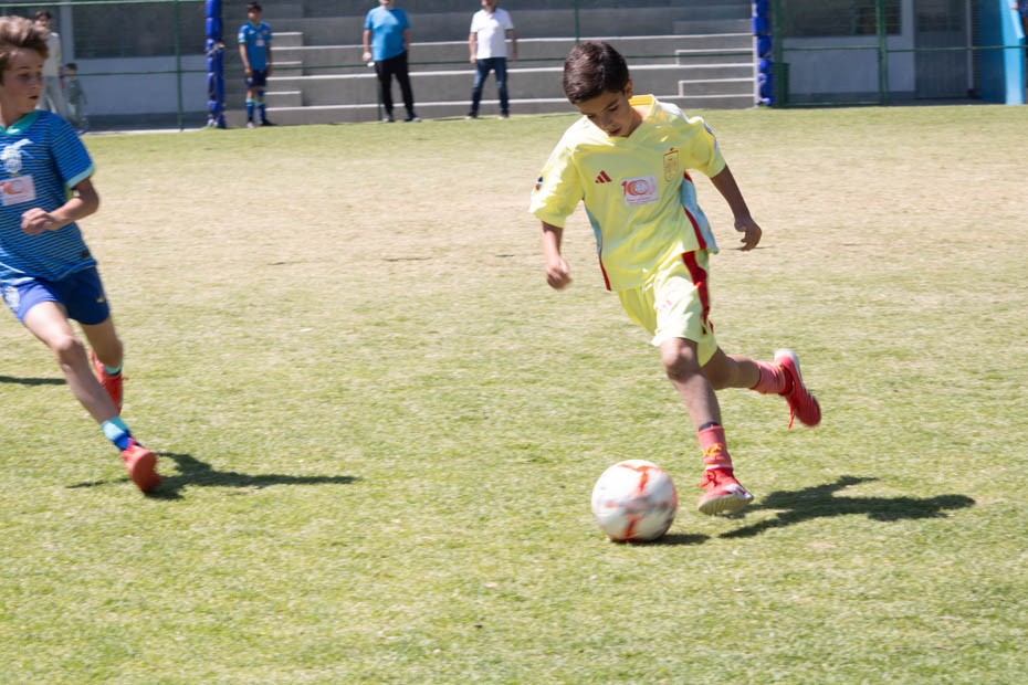 Ir a la Siguiente Foto