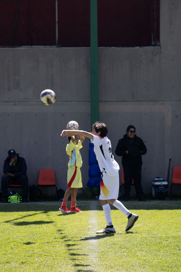 Ir a la Siguiente Foto