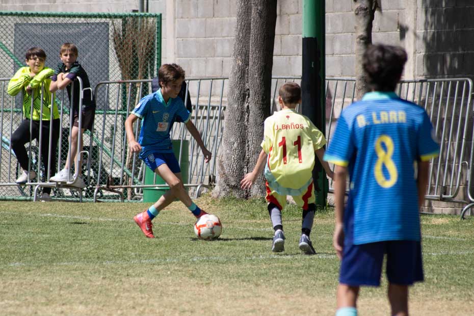 Ir a la Siguiente Foto