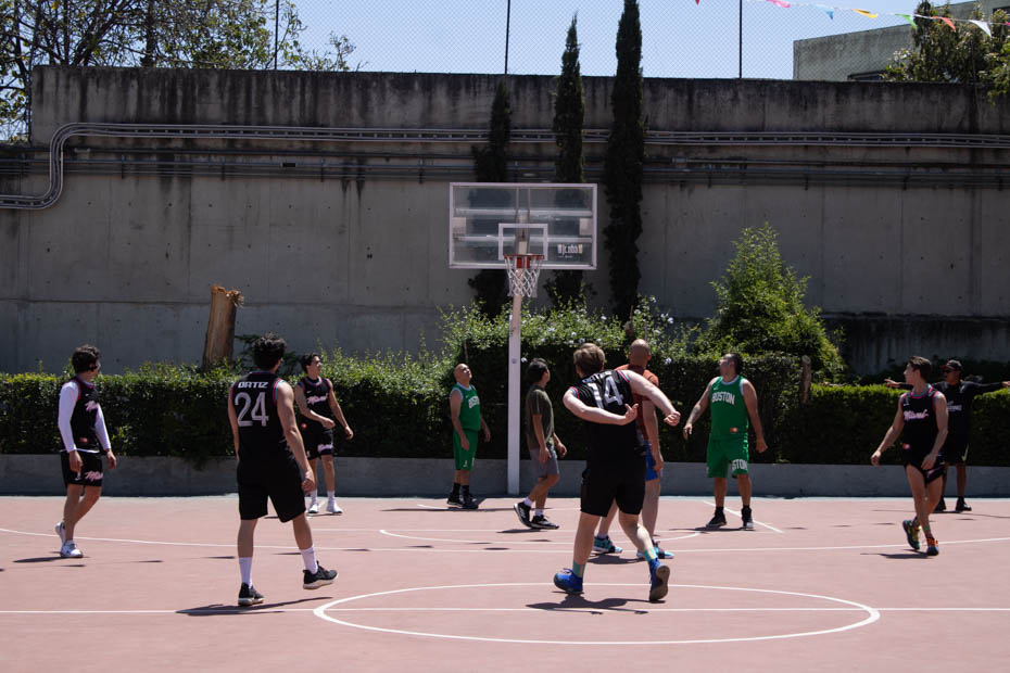 Ir a la Siguiente Foto