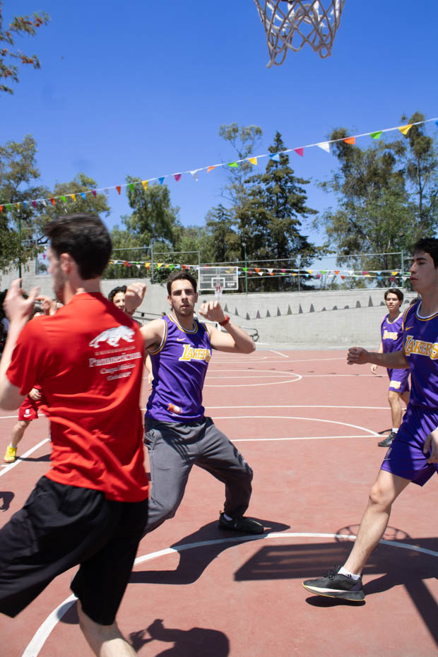 Ir a la Siguiente Foto