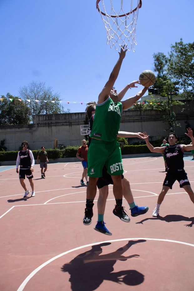 Ir a la Siguiente Foto