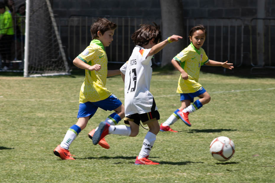 Ir a la Siguiente Foto