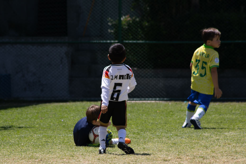 Ir a la Siguiente Foto