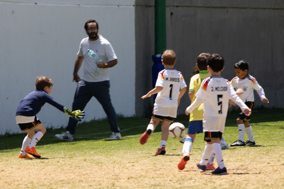 Ir a la Siguiente Foto