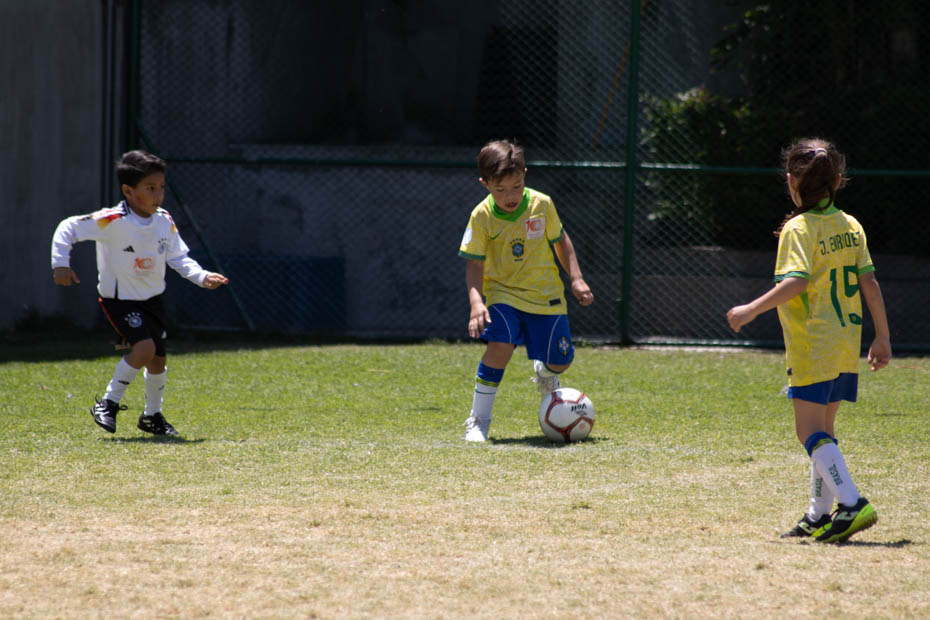 Ir a la Siguiente Foto