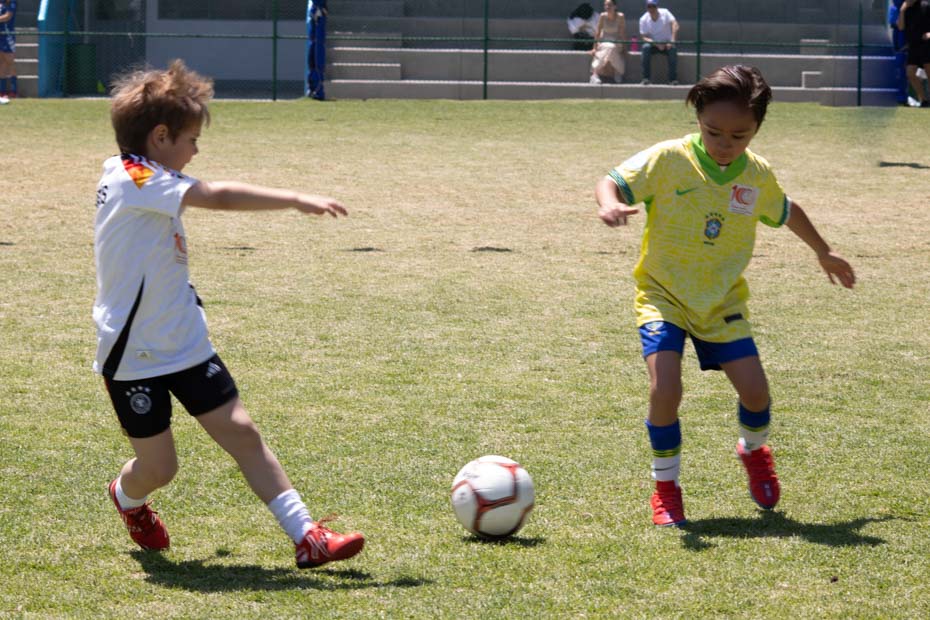 Ir a la Siguiente Foto