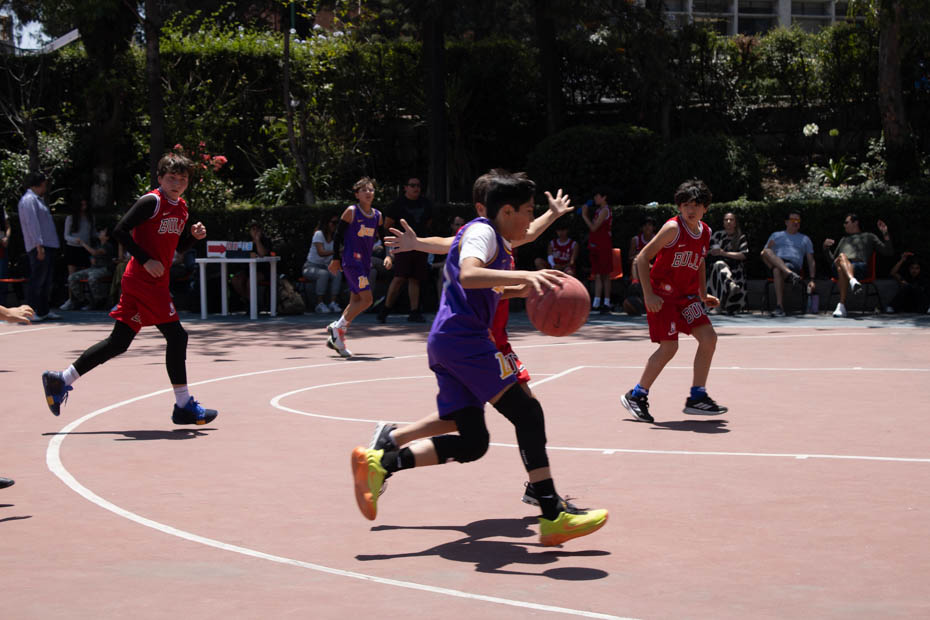 Ir a la Siguiente Foto