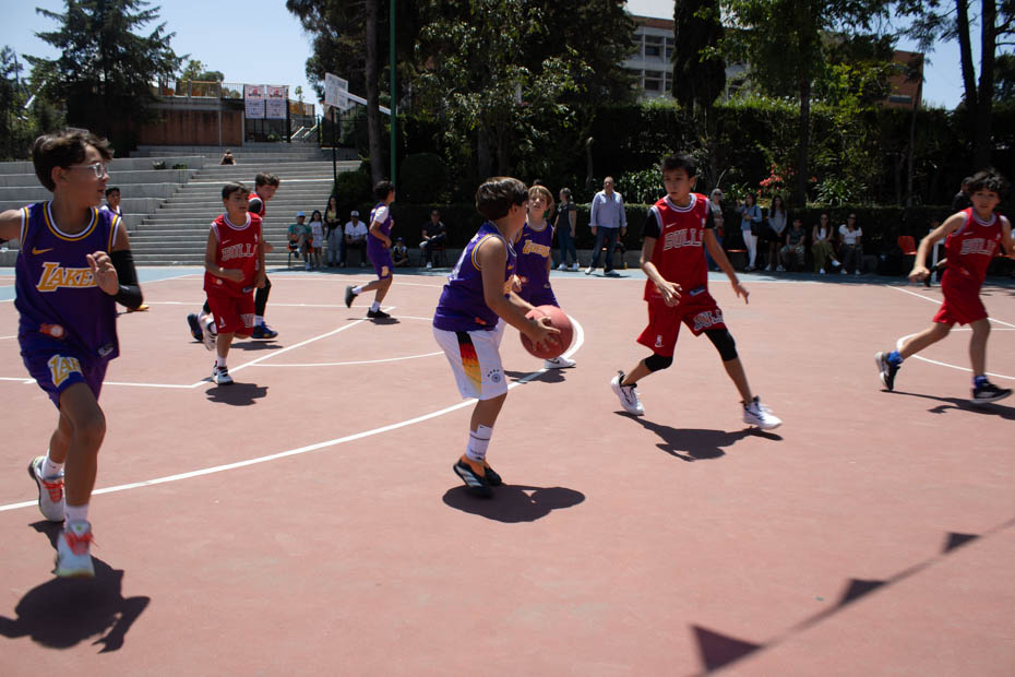 Ir a la Siguiente Foto